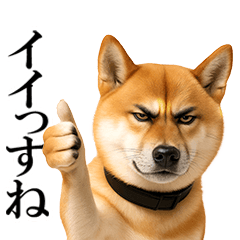 眼力で語るアニマル