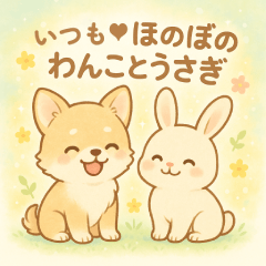 いつも♡ほのぼのわんことうさぎ