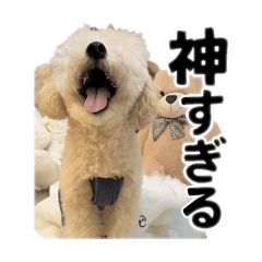 りたスタンプバージョン1