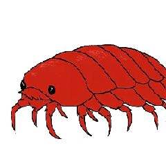 フランス語で海の怪しい生き物たち