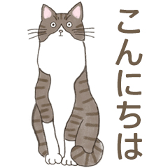 猫の姉妹ネネココの日常スタンプ