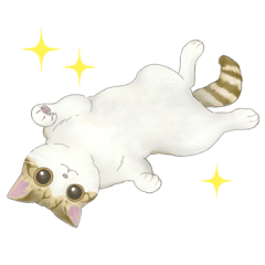かわいいねこたちのシンプルスタンプ