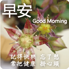 GOOD MORNING TAIWAN 17