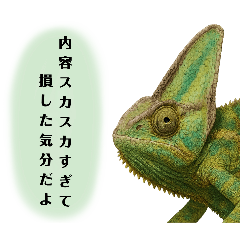 カメレオン　〜ボヤキ〜