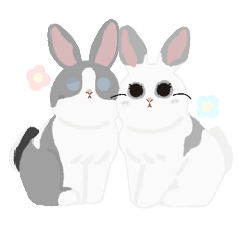 Cake Carrot And Cake Kao, A Day In Life