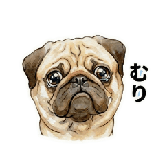 絶妙にやる気のないパグ【敬語・日常】