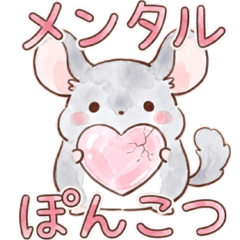 限界ぽんこつチンチラさん