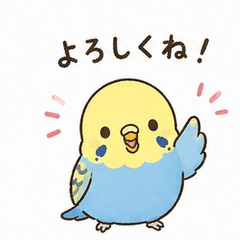 My Little Budgie