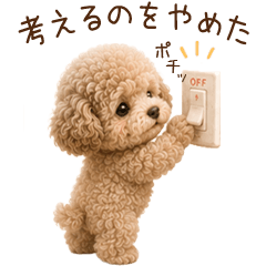 本音だだもれトイプードル