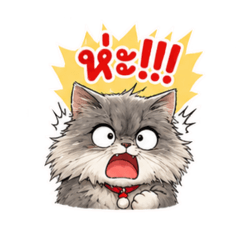 Sassy Khan soi