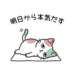 【脱力系】けだるい猫の無気力スタンプ