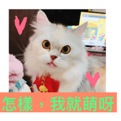 Szu yu_20190410005908