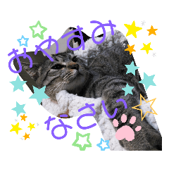 ☆マスダさん家の猫スタンプ☆