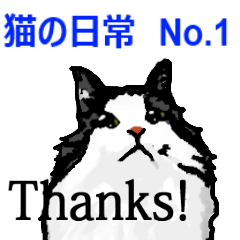 猫の日常No,1