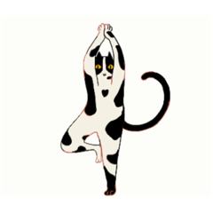 Yoga Trainee Cat Jan