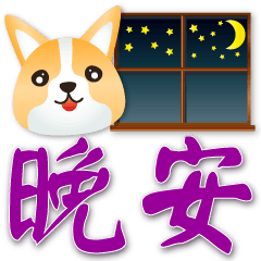 Q Corgi - - Practical everyday phrases