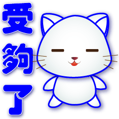 Little white cat- -Practical phrases