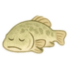 淡色おおくちばす