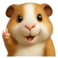 モルモットのまめちゃんの日常