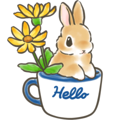 毎日（初夏）☆うさぎのスタンプ