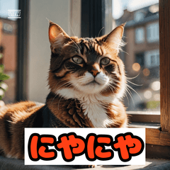表情ゆたかネコ