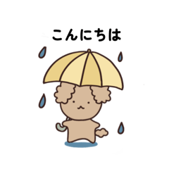 可愛いトイプードル・いつでも使える