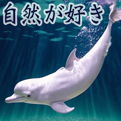 背景が動く▶︎自然が好き---海の生き物---