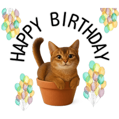 植木鉢のねこたち