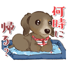 カニンヘンダックス☆レイ