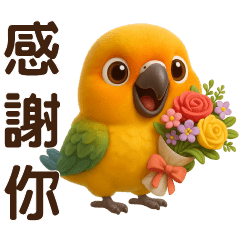 Cute Golden Sun Conure - Everyday Useful