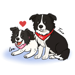 SAC Taro&Lsa Consulting