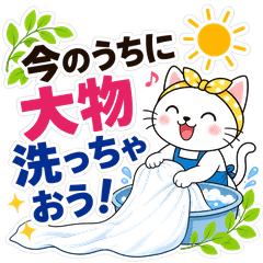 5月・6月の季節の変わり目白猫