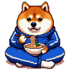 青芋ジャージの太っちょ柴犬 元気め