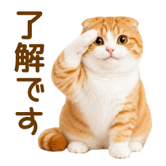 毎日使える❤️茶白猫さん(よく使う言葉)