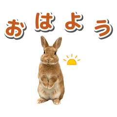 もちこと家族の毎日