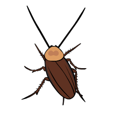 Cockroach : Animated Stickers