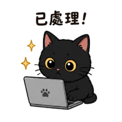 Everyday Black Cat Kitty