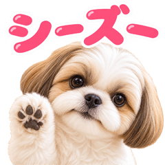 とびだす★シーズー★わんこ いぬ 犬 子犬