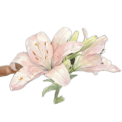 水彩の花