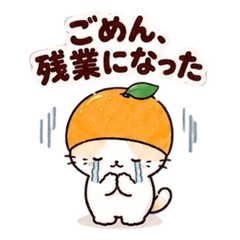 フルーツ猫の連絡 帰宅・お願い・感謝