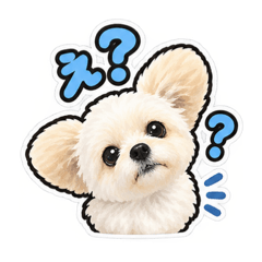 日常で使える！もこもこのもこ