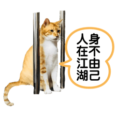 Neko Punch by Camie Tsai