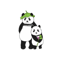 Cutely panda