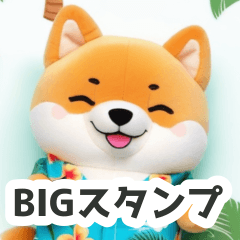 ハワイと陽気な柴犬のBIGスタンプ