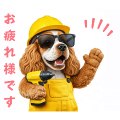 コーイケルホンディエの現場仕事⭐現場犬