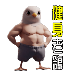 Muscular pigeon man