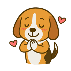 犬の世界のボボ、ビーグルの日常