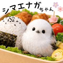 とってもかわいい♡シマエナガちゃん