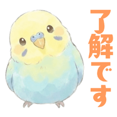 セキセイインコのプリンちゃん（４）