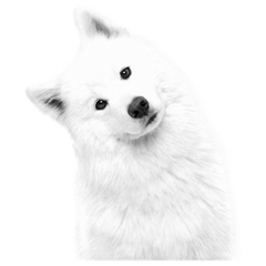 【モノクロ】サモエド